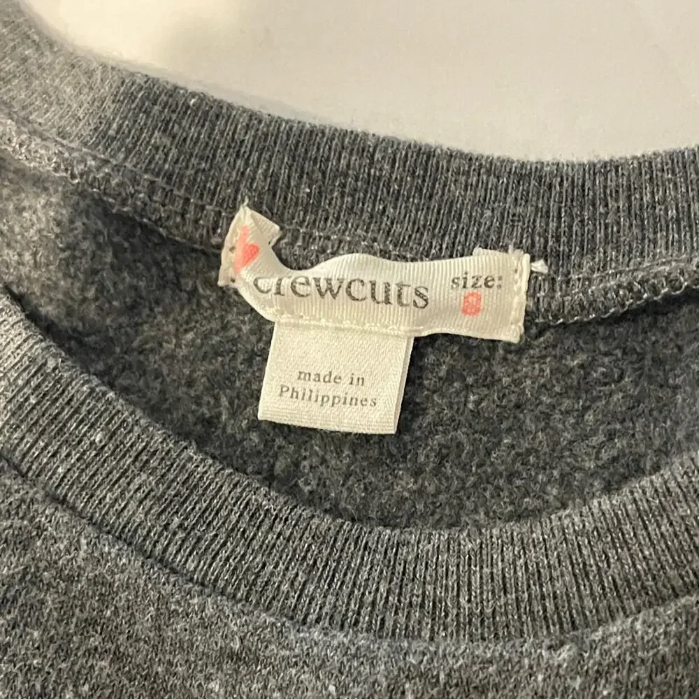 Crewcuts Sweatshirt Dress